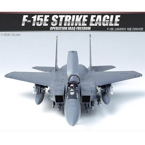 1/48 F-15E 스트라이크 이글 이라크전